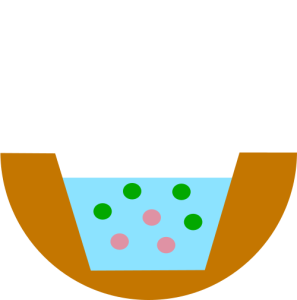 Water quality